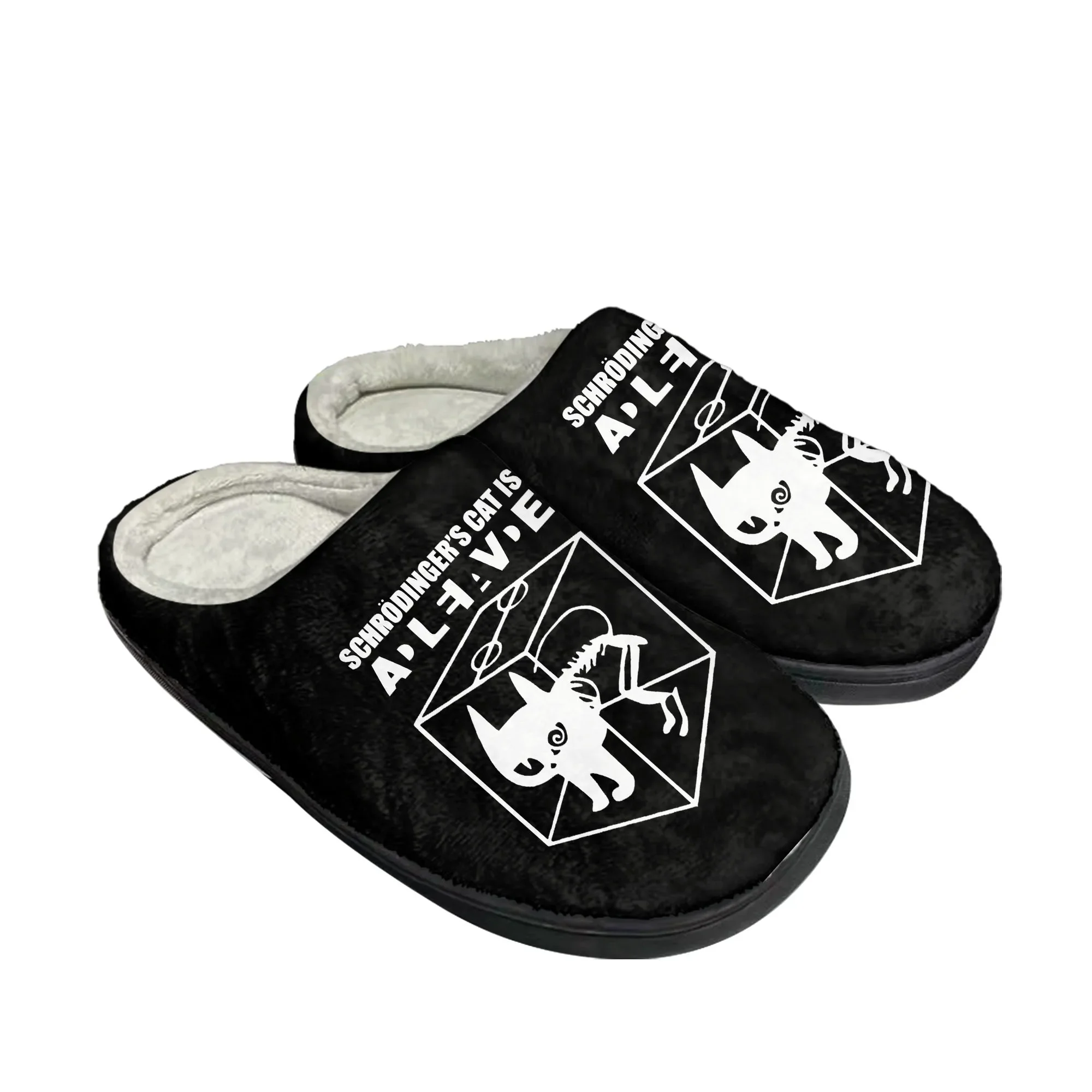 빅 TBBT 슈뢰딩거의 고양이 홈 코튼 슬리퍼 남성 여 - Men Shoes For Winter 리뷰 및 가격